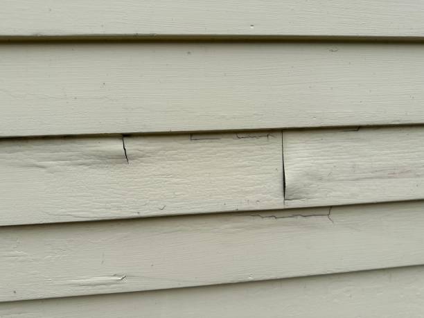 Same-Day Junk Removal Services in Clayton, MO